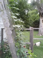 ai738.photobucket.com_albums_xx21_cathylv_20130630_133255_zps89408137.webp