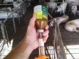 ai34.photobucket.com_albums_d101_TJ41_th_Photo689_zpsac7ce753.webp