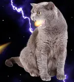 ai1276.photobucket.com_albums_y462_staffpicks_Space_20Cats_firebreathingspacecat.webp