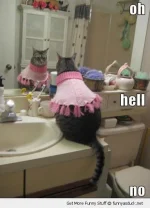 afunnyasduck.net_wp_content_uploads_2012_10_funny_cat_pink_sweater_hell_no_pics.webp