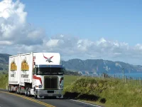 awww.alliedpublications.co.nz_site_allied_images_12_TDDec10_bigtest.webp