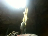 1227131320a.webp