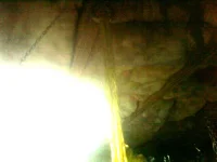 1227131320b.webp