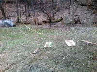 1230131254.webp