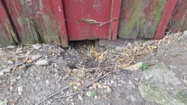 20160527_072757.webp 20160527_072757.webp