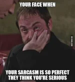 sarcasm.webp sarcasm.webp