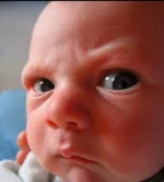 suspicion-2.webp