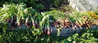 20170911_193234.webp