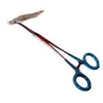 roach_clip.webp