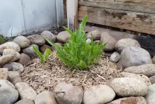 20180428_192528.webp 20180428_192528.webp