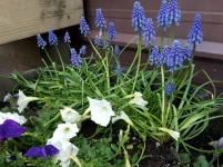 20180503_085642.webp