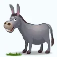 donkey.webp