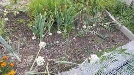 20180724_081337.webp