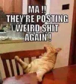 Posting-weird.webp