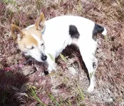 20190612_211621.webp