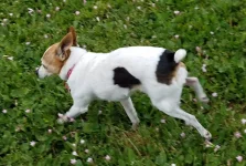 20190620_181049.webp