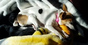 20190630_171748.webp