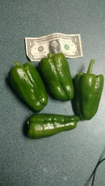 peppers.webp peppers.webp