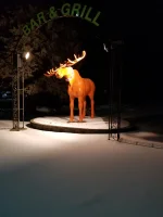 20180307_192010.webp