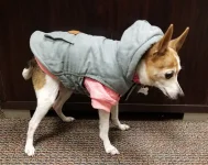 20191030_093727.webp