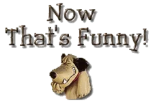 1573484946699.webp