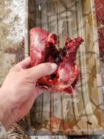 20191110_094744.webp