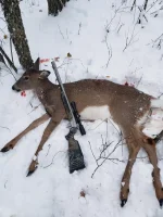 20191130_080105.webp