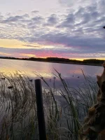 20191006_071900.webp
