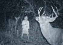 Girl-with-Deer.webp Girl-with-Deer.webp