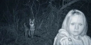 trail-cams4.webp trail-cams4.webp