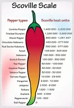 https___blogs-images.forbes.com_cognitiveworld_files_2018_09_ScovilleScaleOfPepperHeat-S-1200x...jpg