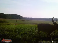 20200705_140235.webp
