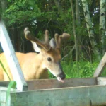 125974.webp