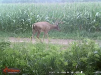 20200809_081502.webp