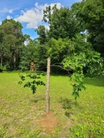 20200830_151720.webp