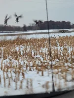 20201021_180250.webp 20201021_180250.webp
