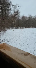 Snapchat-1389881430.webp