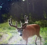 20201207_160323.webp 20201207_160323.webp