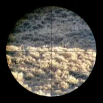 scope-2b.webp scope-2b.webp