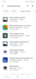 Screenshot_20201223-223358_Google Play Store.webp