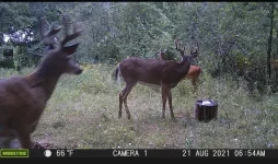 Screenshot_20210826-071723_Brave.webp