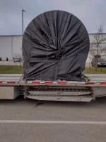 TARP.webp