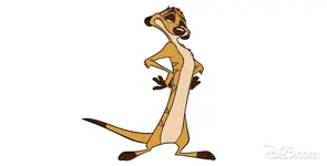 timon-1180x600-1180x600.webp timon-1180x600-1180x600.webp