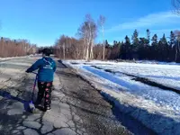 FB_IMG_1740865119149.webp FB_IMG_1740865119149.webp