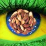 BrazilianNut