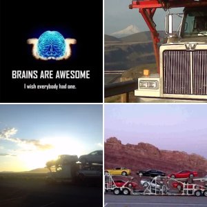 Carhauling