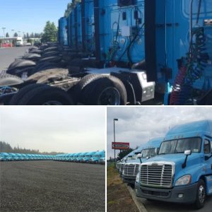 freightliners for you