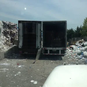 Oops! Driver losses trailer door