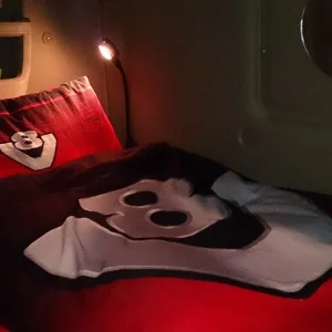 Scania cab sleeper