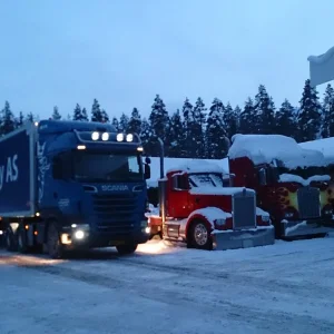 unusual neighbors ;))